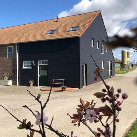 Appartement De Graanzolder Aan Zeeuwse Kust Hoofdplaat Eksteriør billede